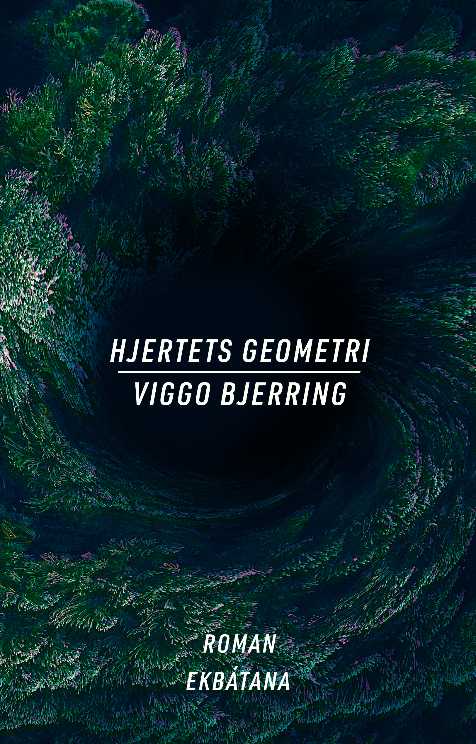 Hjertets geometri af Viggo Bjerring